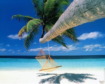 Buone vacanze !